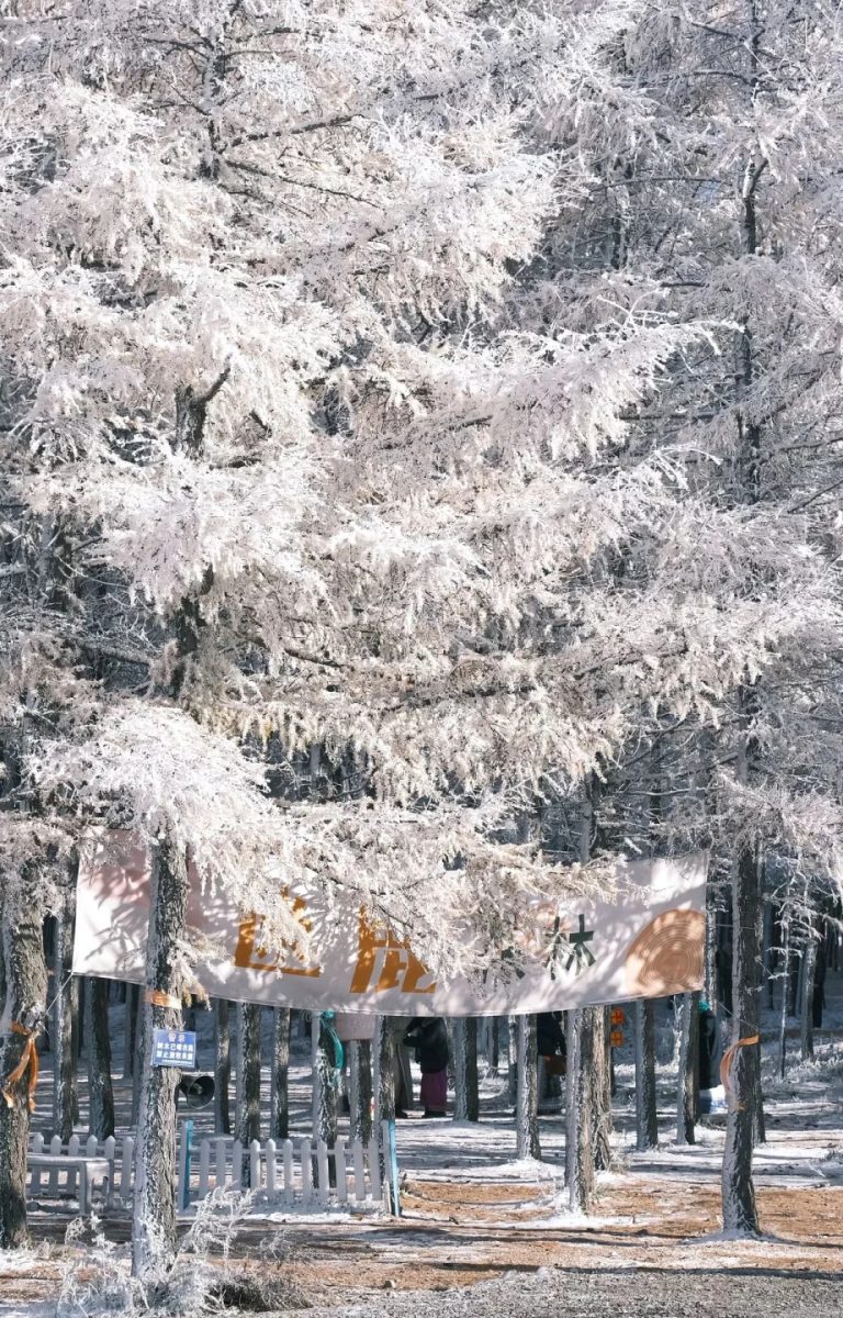 雪下的哈达门_3_贺贺-沐森包车-首森旅行_哈达门-来自52tours 我爱旅游网 (1)